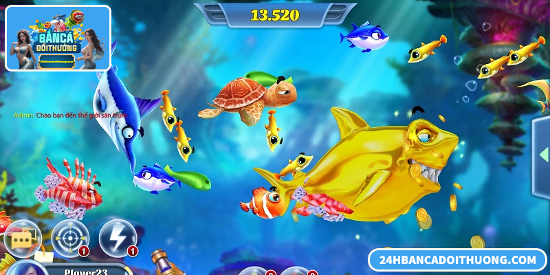 Chiến lược chơi Rainbow Fish tối ưu xu, nâng cao tỷ lệ thưởng