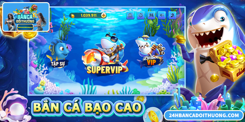 Vn123 Bắn Cá: Chiến Thuật Chọn Cá Và Đạn Giúp Tối Ưu Xu